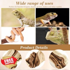 Janinka Reptile Branch 18-20″