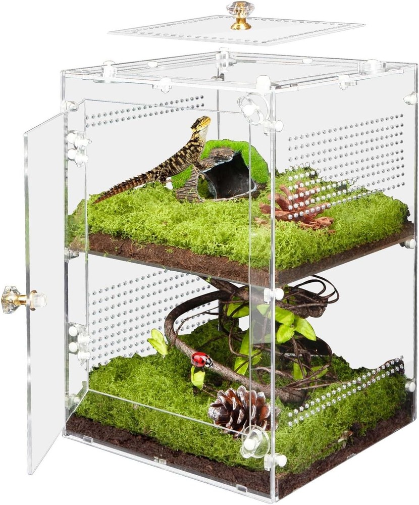 Acrylic Jumping Spider Enclosure with Removable Divider – 12″*8″*8″ Large Reptil
