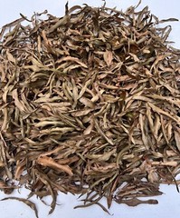 10 Gallons Organic LEAF LITTER Willow Oak Leaves Reptile Terrarium Frog Isopods