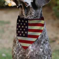 Vintage US Flag Repeat Slip On Collar Bandana Only