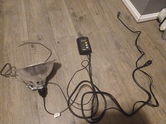 I Power Basic Heating Lamp