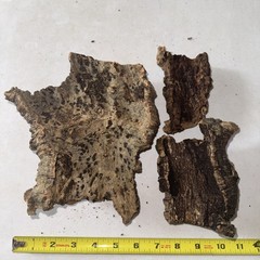 Cork Bark (3 Pieces)