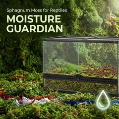 Sphagnum Moss for Reptiles -Terrarium Moss for Reptiles Peat Moss for Reptiles
