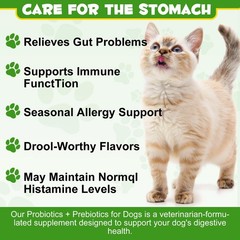 Probiotics for Cats – Cat Probiotic Powder Digestive Supplement with Digestiv…