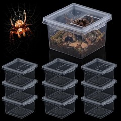 10 Pcs Insect Spider Terrariums Breeding Box Hatching Container Small Reptile Sc