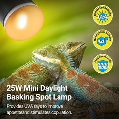 Nano Dual Dome Reptile Light Fixture and 25W Reptile Heat Lamp Combo Pack, Mi…