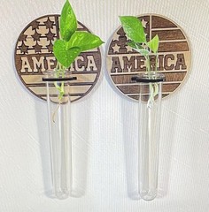 15Pcs 20ml Clear Plant Propagation Test Tubes w/ Brush Hydroponic Flower Decor