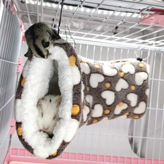 Guinea Pig Accessories Sugar Glider Cage Accessories Hamster Rat Toys Ferret …