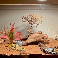 Reptile Plants Succulent Artificial Desert Plant Terrarium Decor Bearded Dragon