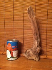 Beautiful 12″ DRIFTWOOD Piece Art Terrarium Taxidermy Aquarium Reptile DECOR