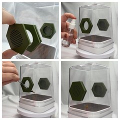 Coral Cove Glow Jumping Spider Enclosure – Stylish Pet House for Your Arachnid