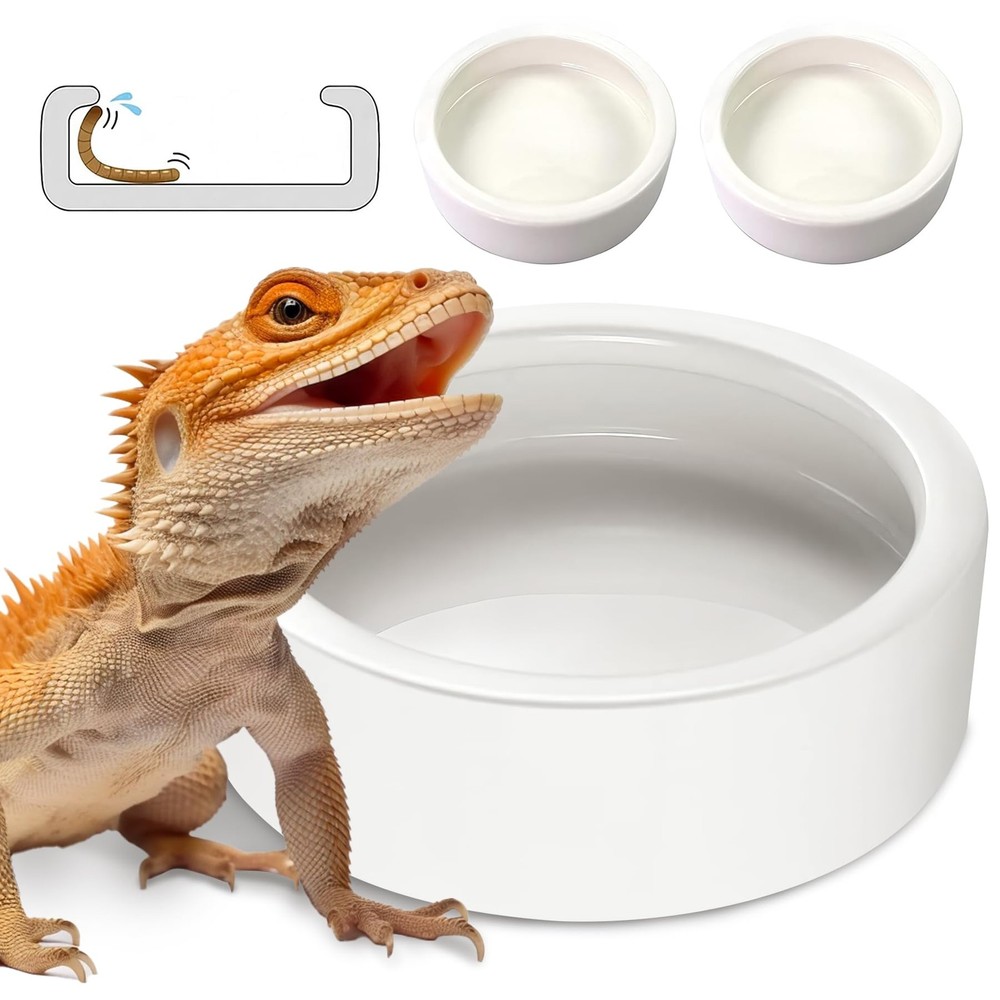 Worm Dish – Large 2 Pcs Reptile Food & Water Bowl for Large-2Pack, White