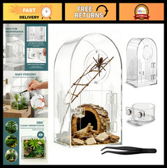 Clear Acrylic Spider Enclosure Kit – Ventilated Habitat for Jumping Spiders, Tar