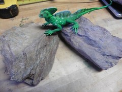 2 Purple Shale Real Rock aquarium lizard turtle iguana reptile scenery backround