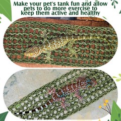 2 Pcs Bearded Dragon Hammock Lizard Reptile Climbing Lounger for Gecko Snake