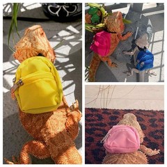 Lizard Backpack for Bearded Dragons School Bag & Books Set Reptile Apparel Ac…