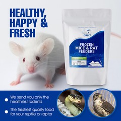 10 Frozen Feeder Rat Jumbos -FREE S&H -MiceDirect!! Rodents! Reptiles Snake food