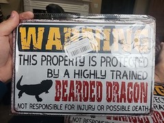 Lot Of 3 Beware Of Bearded Dragon Sign Reptile Dragons Bearded Dragon…