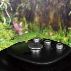 10L Reptile Mister Fogger – Silent Pump Humidifier for Terrariums and Amphibians