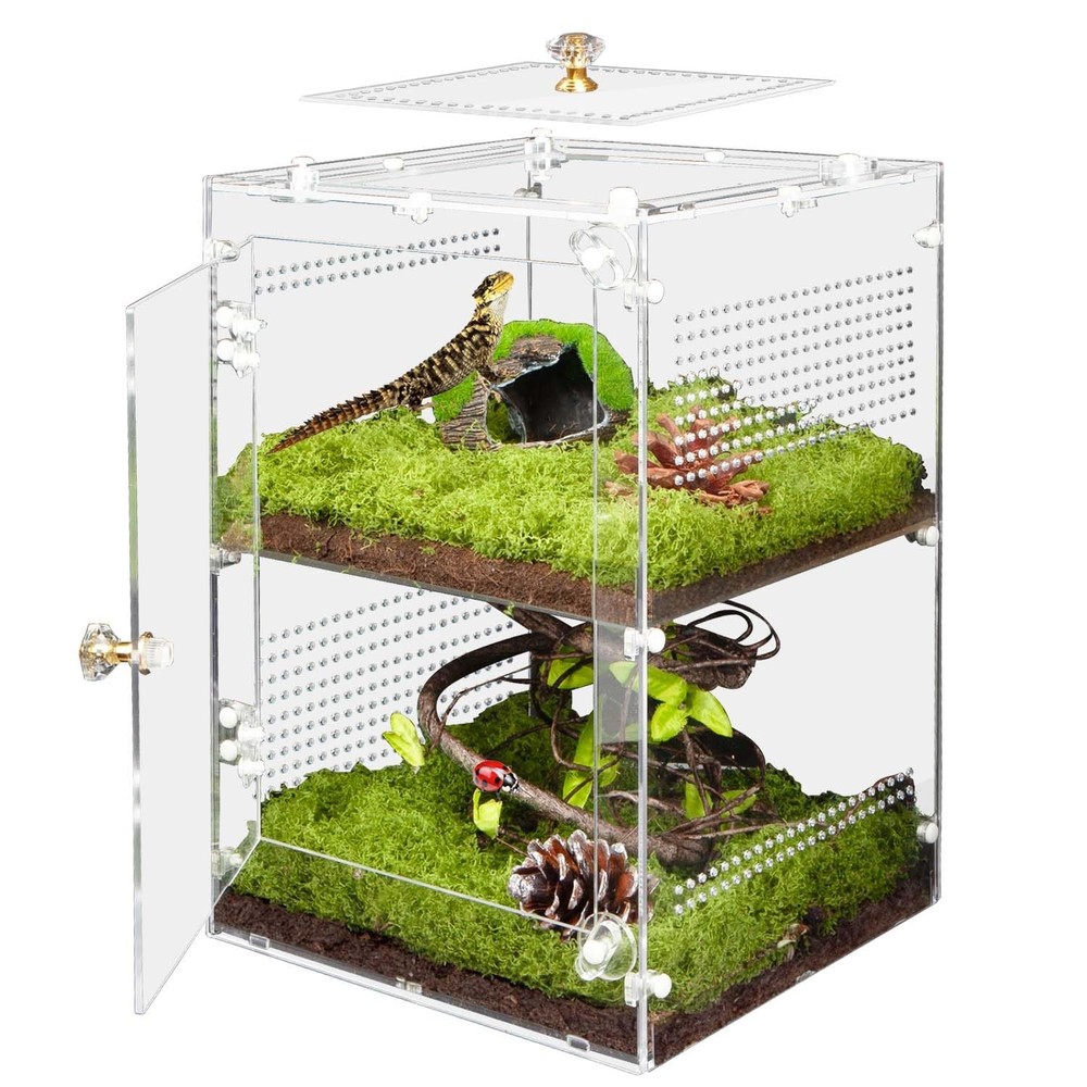 Acrylic Jumping Spider Enclosure Removable Divider 12x8x8 Inch Reptile Tank