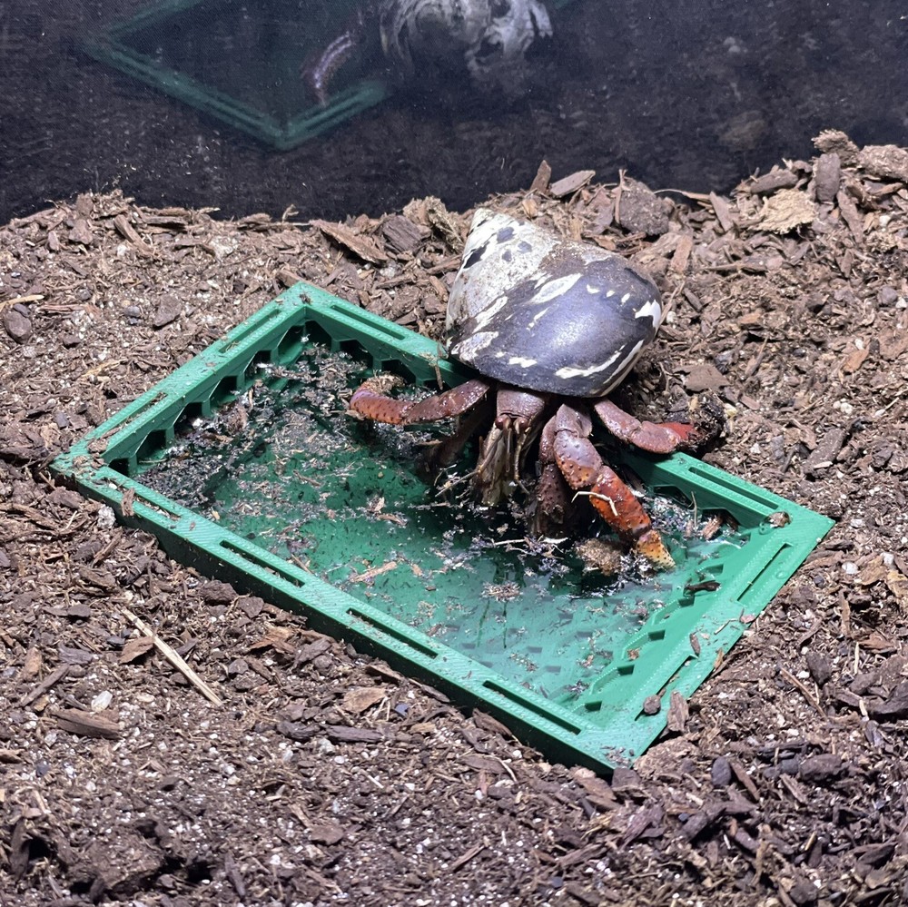 Hermit Crab Pool Underground Tank Decoration Climbing Toys Ornament Accessories