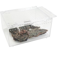 Reptile Terrarium Enclosure 8″x6″x4″ Acrylic Tarantula Breeding Box Magnetic