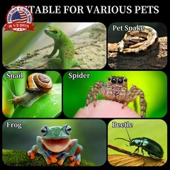 Acrylic Jumping Spider Habitat, Reptile Terrarium Easy Assembly, Bug Enclosure,