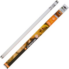 Reptile Systems D3 18 Watt T8 Reptile Lamp For Desert Species 10% UVB 24″ 117037