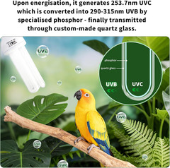 Bird Cage UVB Light Combo Kit, Avian Sun Lamp 2.4% UVB UVA 20W Compact Fluoresce