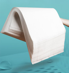 Bird Cage Liners-100Pcs-11” X 20”Disposable Non-Wovenbird Cage Tray Liners, Di