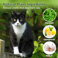 12 Pack Cat Deterrent Outdoor Indoor, Protect Garden Yard Furniture
