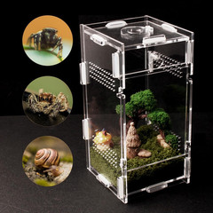 Acrylic Jumping Spider Enclosure, Small Reptile Terrarium Habitat for Tarantula