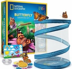 National Geographic Butterfly Growing Kit – Kids STEM Activity