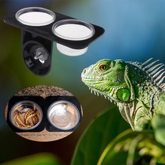 Reptile Feeder Single Double Feeding Bowl Water Breeding Dispenser Plastic