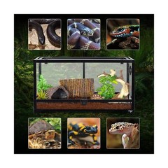 Large Reptile Tank 25 Gallon, 360°Full Vision Glass Reptile Terrarium with