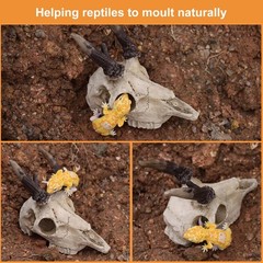 Mini Reptile Hide Cave Small Terrarium Shelter Spider Tarantula Gecko 4 Inch