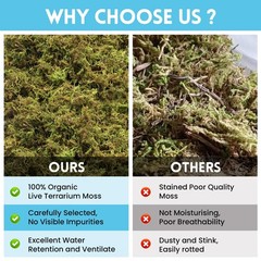 7 OZ Premium Sphagnum Moss for Reptiles 10QT Natural Live Moss Reptile Moss B…