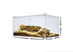 Herpcult Acrylic Reptile Terrarium Gecko Spider Vivarium Enclosure Large Flat