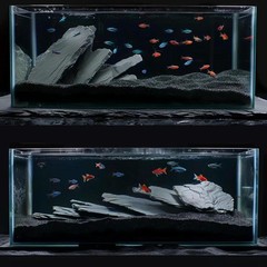 Natural Slate Reptile Basking Platform 20lb, Unique Aquarium Rocks, Durable T…