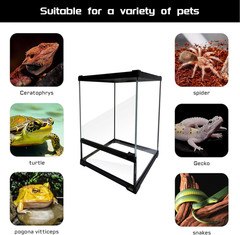 Reptile Glass Terrarium 10x10x14in with Front Door for Crested Gecko & More