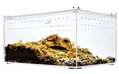 Acrylic Enclosure Terrarium Large 12”(L) x 8”(W) x 6”(H) Reptile, Snake, Spider