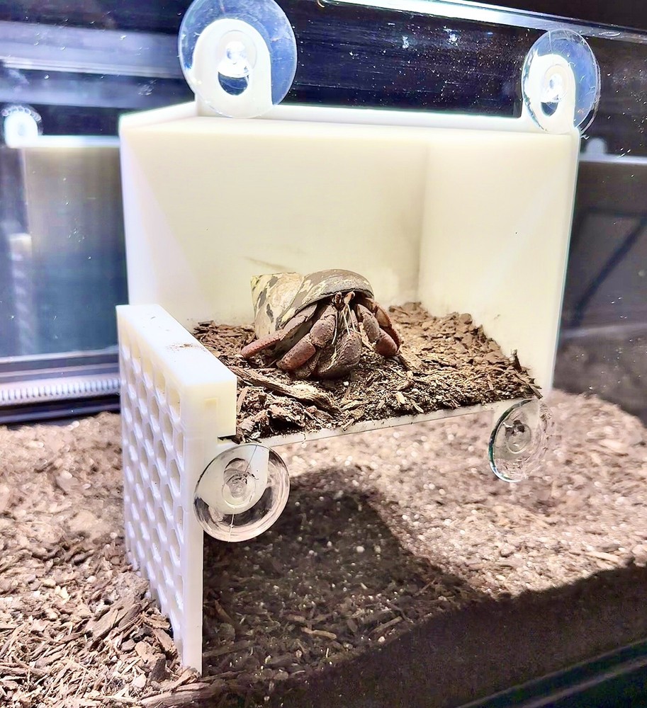 Hermit Crab Viewing Wall Hide Hermit Crab Foraging Ornament Toy Hermit Crab Tank