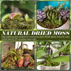 8 oz Sphagnum Moss Reptiles 12 qt Natural Bedding Terrarium Substrate Gecko