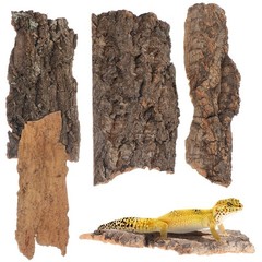 4Pcs Reptile Bark Climbing Platforms Natural Tree Bark Pet Terrarium Decor