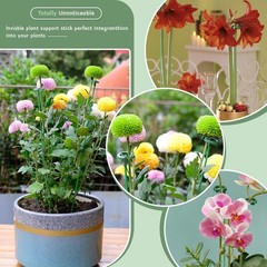 Invisible Plant Sticks 17 inch &11 inch SupKing 16Pcs Orchid Stakes with Clip…