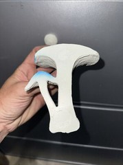 BLUE reptile magnetic mushroom feeder Ledge With 2 Beer Savers