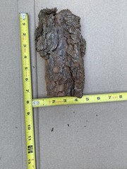 Reptile Terrarium Basking Climb and Shelter- Real Bark set of 2