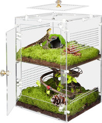 Acrylic Jumping Spider Enclosure with Removable Divider – 12″*8″*8″ Large Reptil