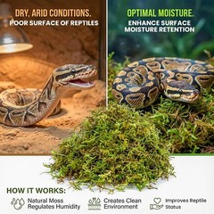 Natural Sphagnum Moss Reptile Bedding, Moisture Retaining Terrarium Substrate