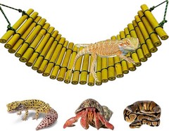 Bearded Dragon Tank Accessories Reptile Climbing Hammock Bridge Lizard Lounger